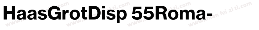 HaasGrotDisp 55Roma字体转换